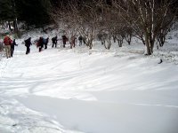 DSC03702