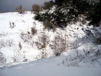 DSC03704