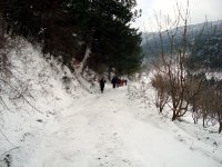 DSC03705