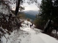 DSC03713