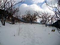 DSC03717