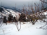 DSC03719