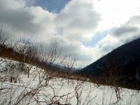 DSC03720