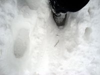 DSC03721