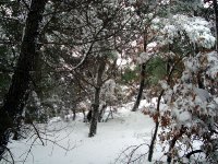 DSC03729