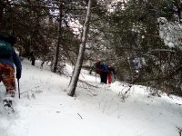DSC03731