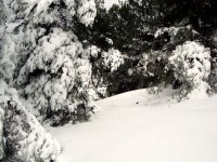 DSC03736