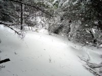 DSC03740