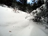 DSC03742