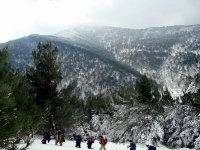 DSC03747