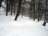 DSC03751