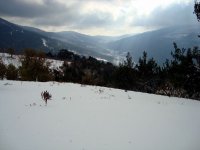DSC03760