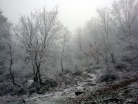 DSC01168