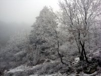 DSC01173