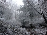 DSC01177