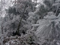 DSC01183