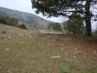 DSC00011