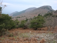 DSC00015