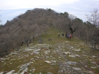 DSC00081