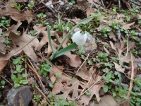 DSC00098