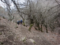 DSC00118