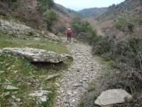 DSC00146