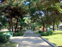 DSC09905