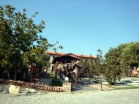 DSC09907
