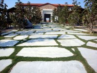 DSC09908