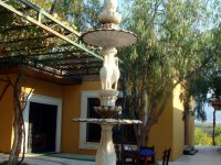 DSC09920