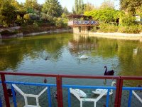 DSC09928