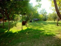 DSC09942