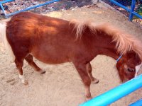 DSC09952