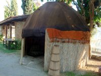 DSC09960