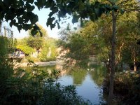 DSC09985