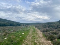IMG_5591