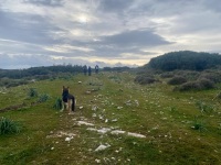 IMG_5878
