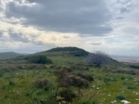 IMG_5894