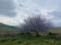 IMG_5896