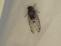 D964AE7B-3737-4485-A26D-29566DEDF7AF-scaled