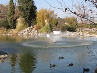 img_7598