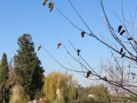 img_7601