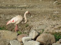 img_7603