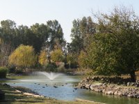 img_7618