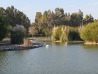 img_7619