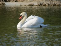 img_7622