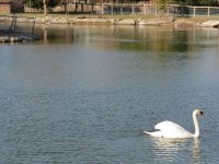 img_7624