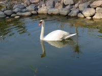 img_7626
