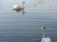 img_7627