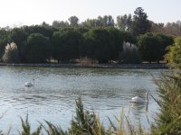 img_7629